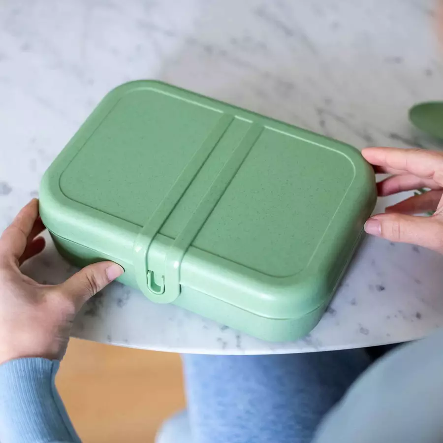 Koziol Lunchbox-Set inkl. Besteck Pascal Ready grün