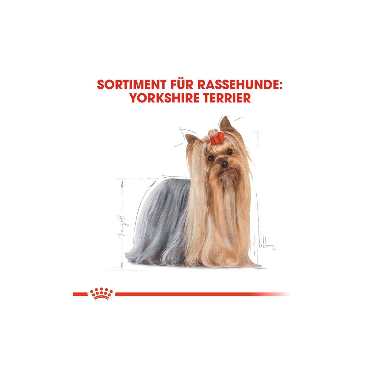 ROYAL CANIN Yorkshire Terrier Adult Mousse 12x85 g