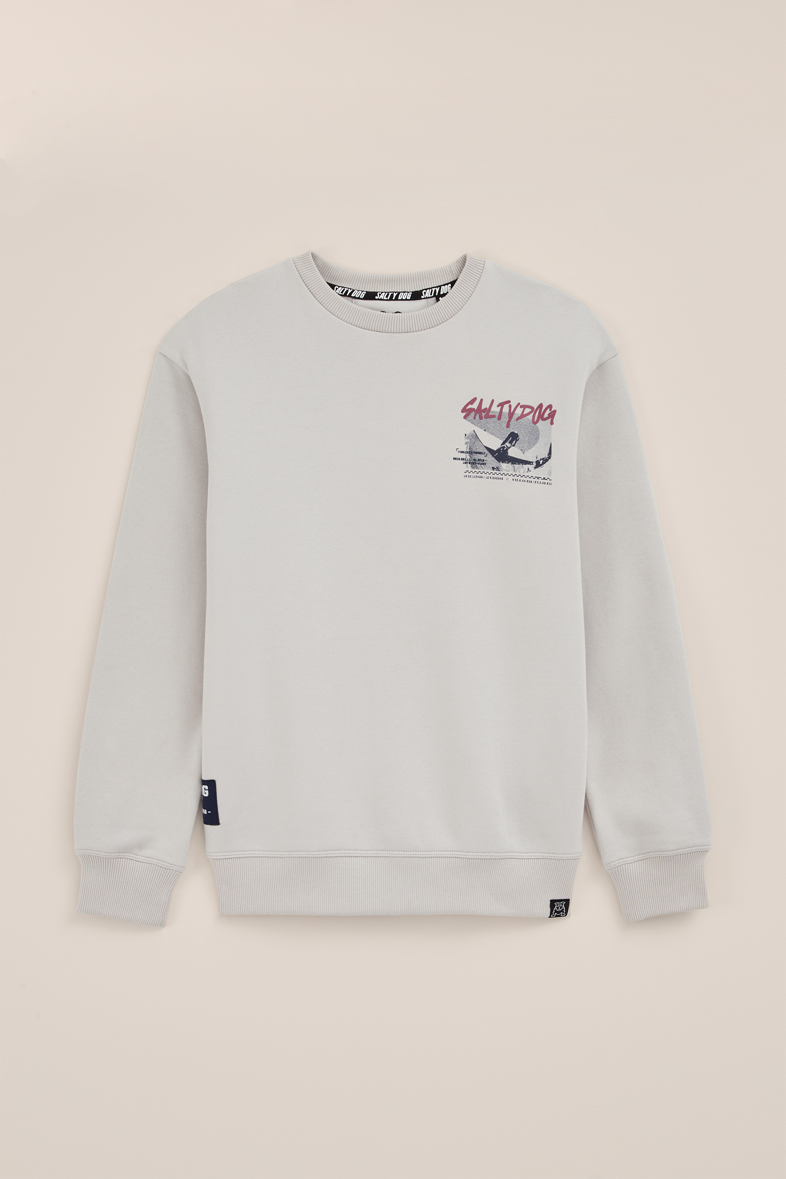 Jongens sweater met opdruk Salty Dog Beige