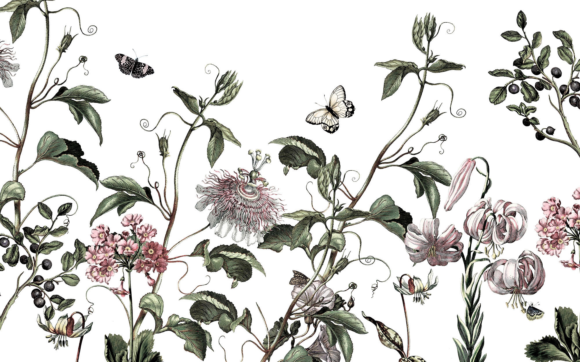 Komar Fototapete »Digitaldruck Vlies -  Paradis de Papillons - Grösse 400 x 250 cm« bedruckt glatt Wohnzimmer, Schlafzimmer