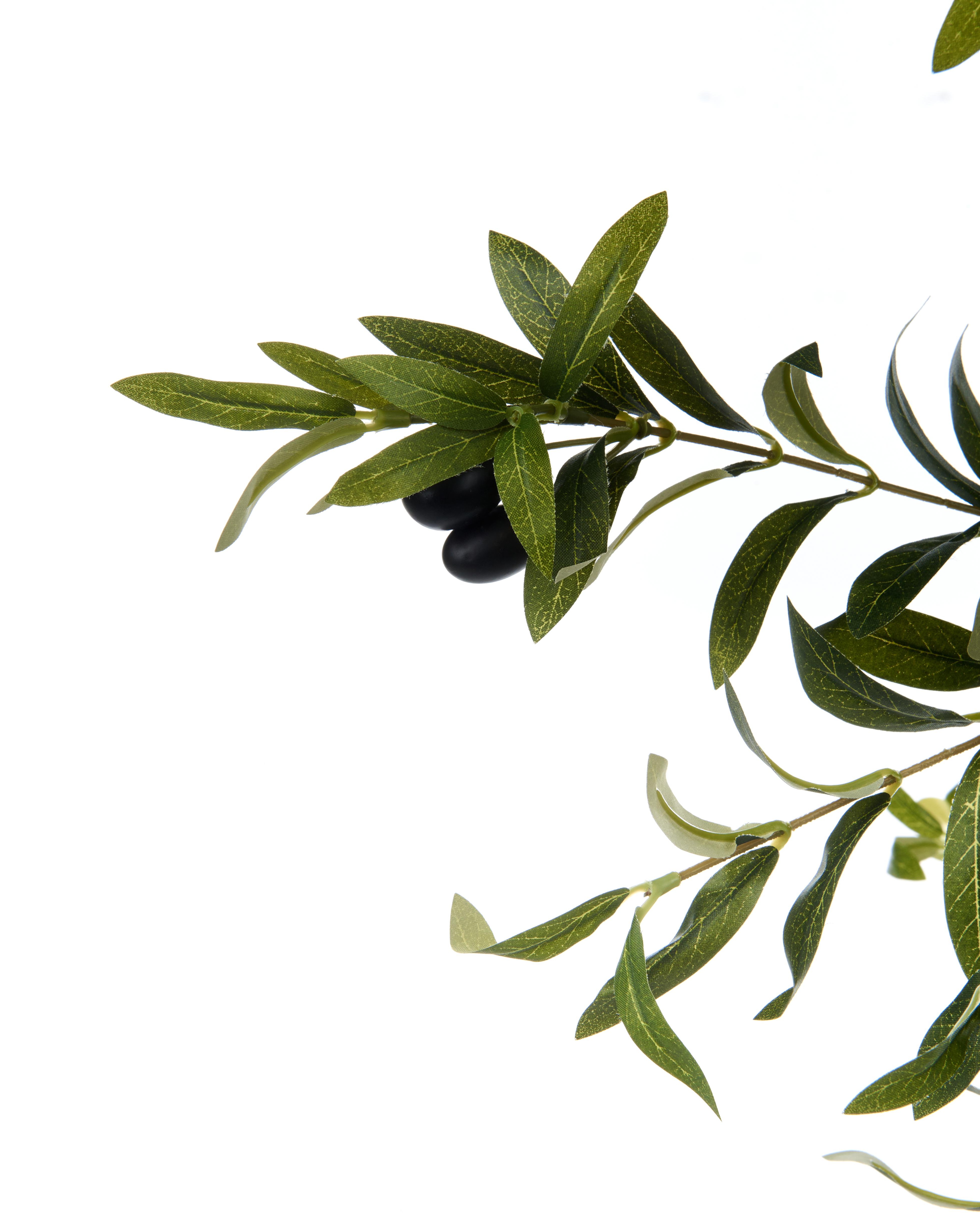 Kunstplant OLIVE TREE 178 cm Groen
