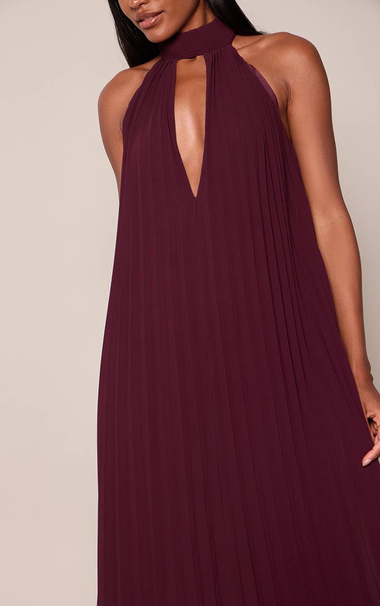 Prune Robe Longue Plissée À Col Montant