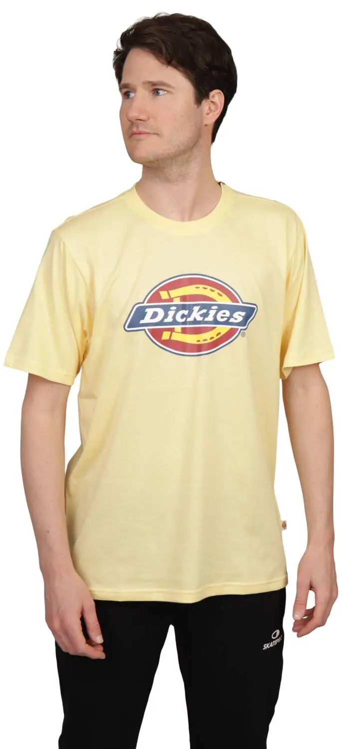 Dickies Icon Logo T-shirt | SkatePro