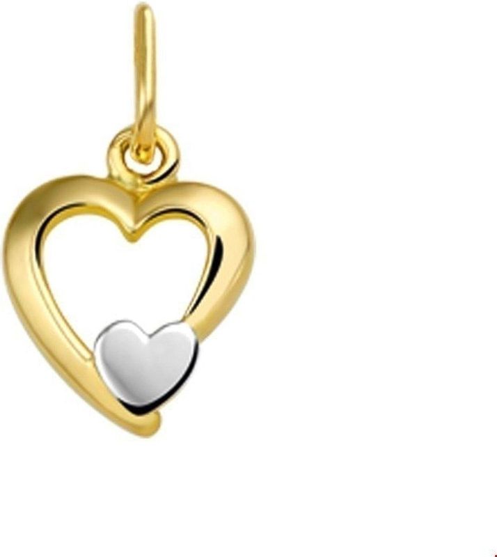 Hanger - Hart - Bicolor - Gestift - 14K Geelgoud