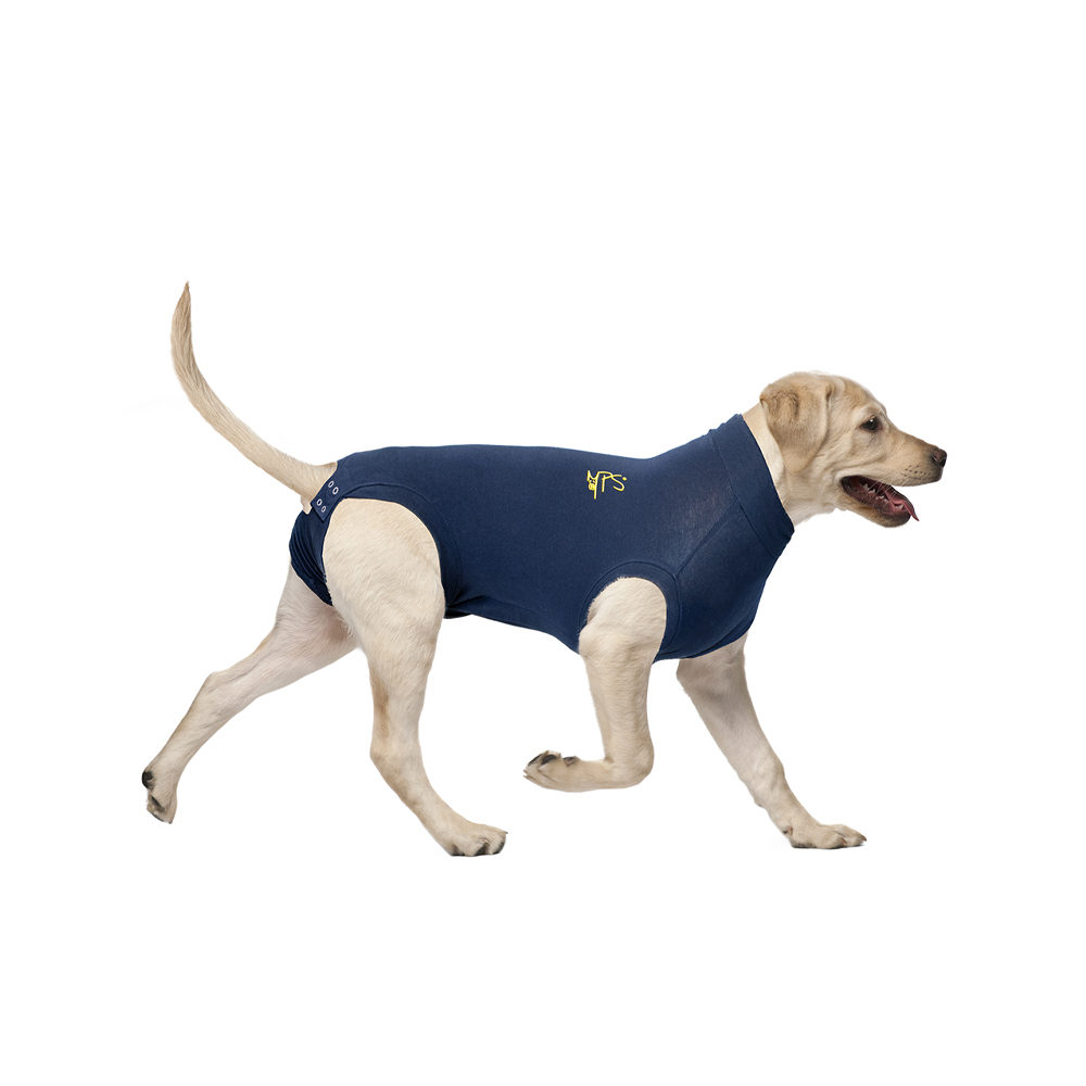 Medical Pet Shirt Hond