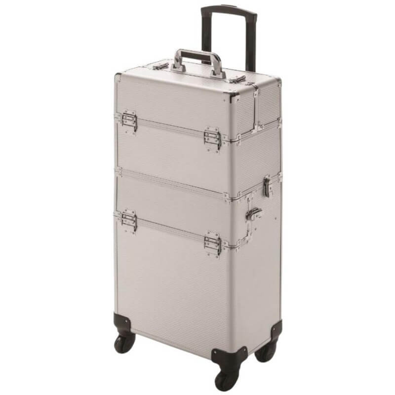 Valise Esthétique Expert Silver line