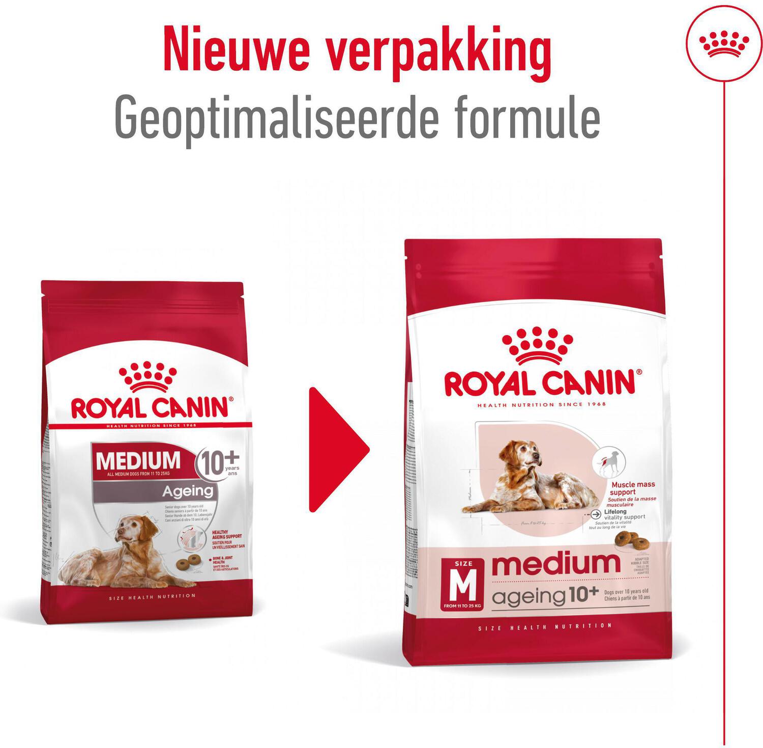 Royal Canin hondenvoer Medium Ageing 10+ 3 kg