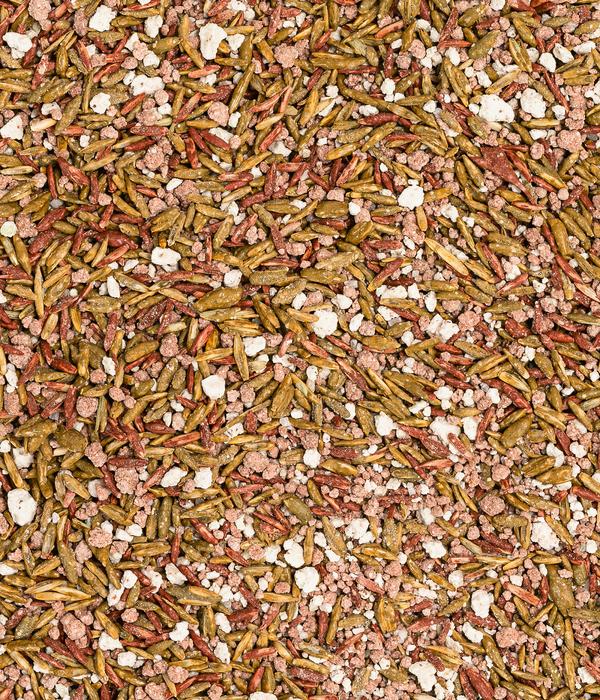 Dehner Herbstrasen-Nachsaat, 750 g