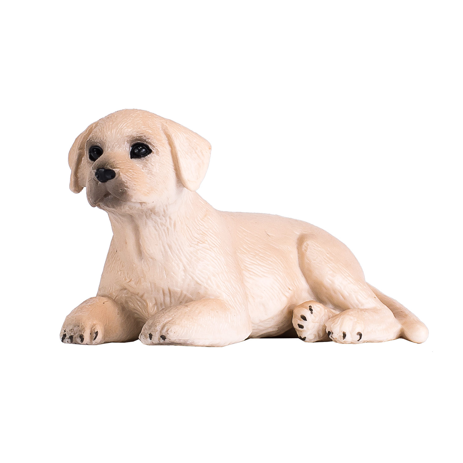 Mojo Farmland Labrador Puppy - 387272