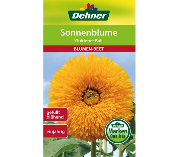 Dehner Samen Sonnenblume 'Goldener Ball'