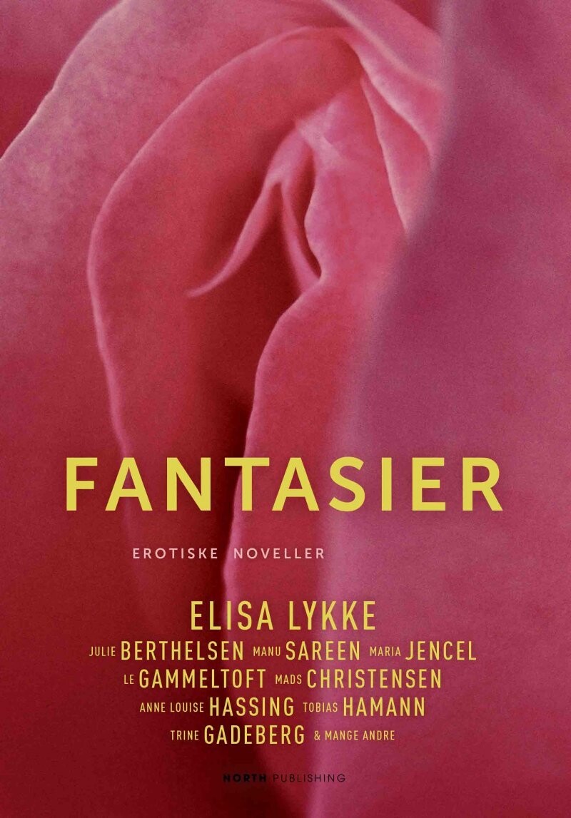 Fantasier - Elisa Lykke - Bog