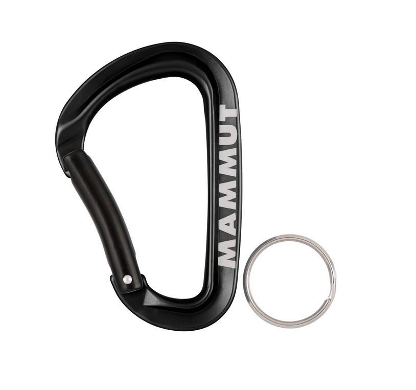 Mini Carabiner Workhorse Keylock L