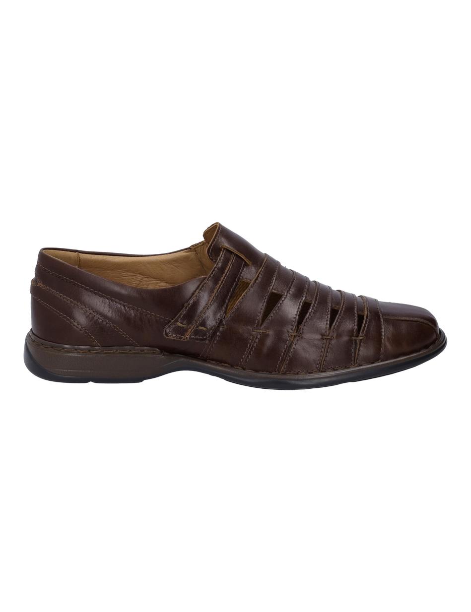Slipper Steven, marone
