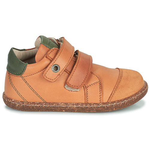 Aster - WASHAN - Camel / Vert
