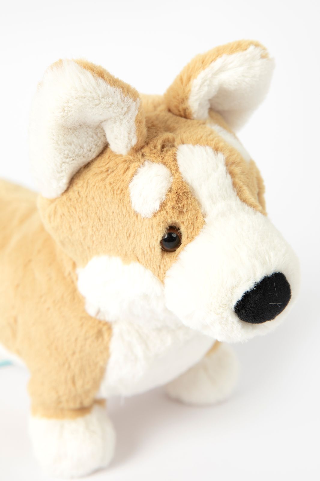Jellycat corgi knuffel Betty