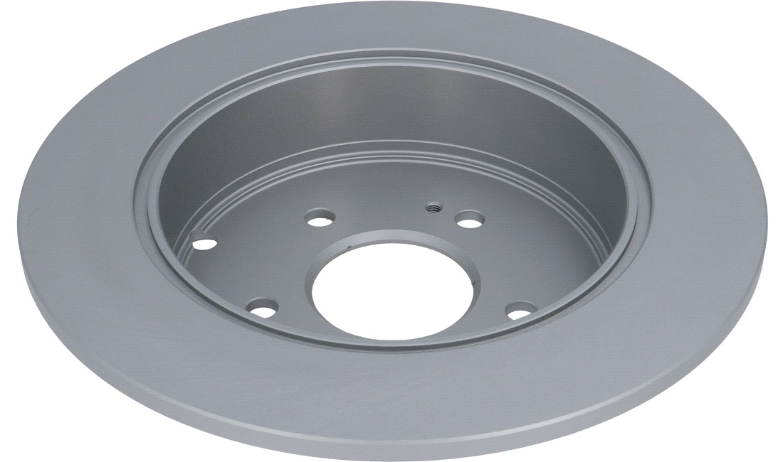 Bremseskive 302 x 10 mm