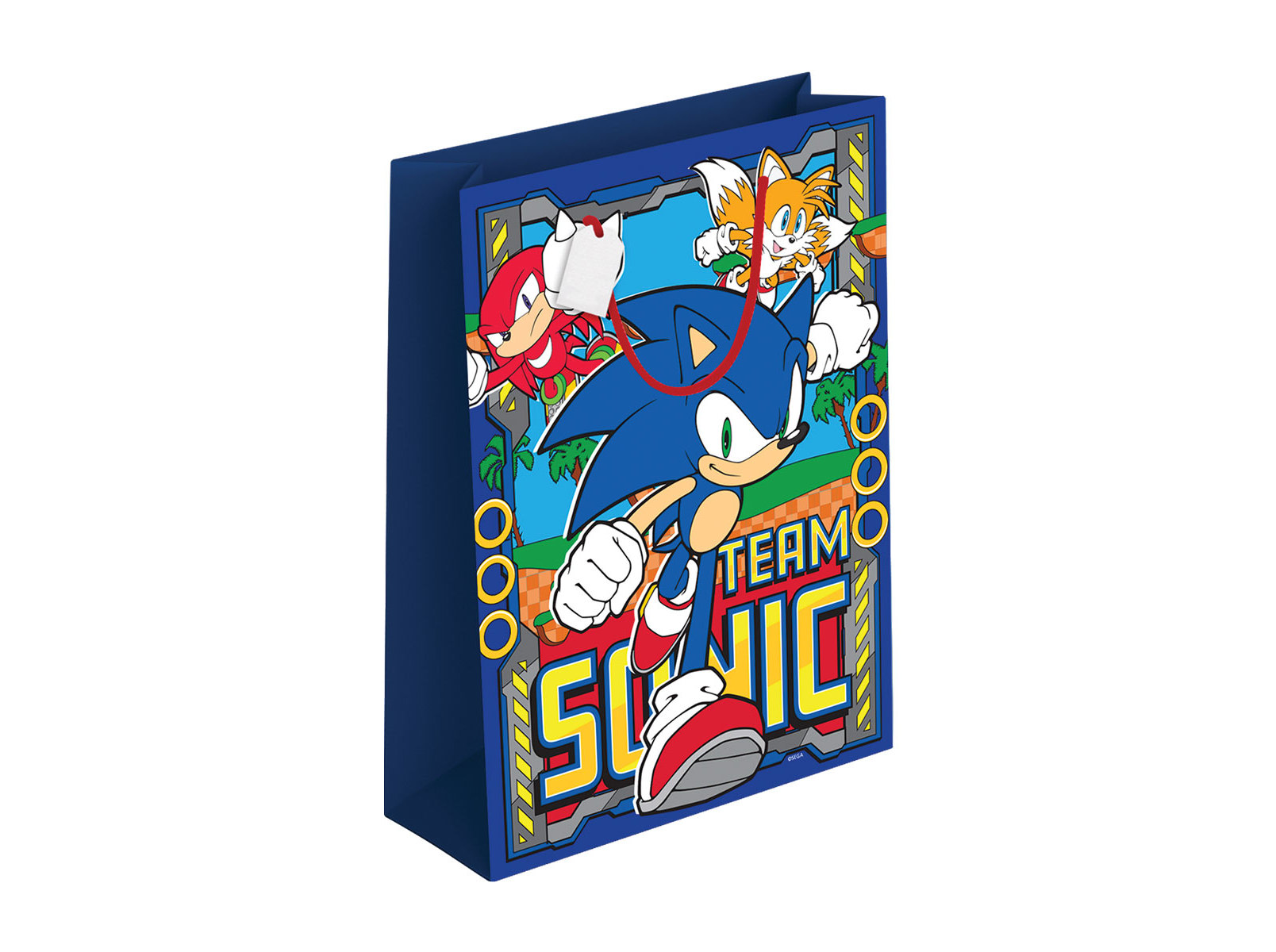 SACO PRESENTE SONIC MEDIO 26X32X12CM