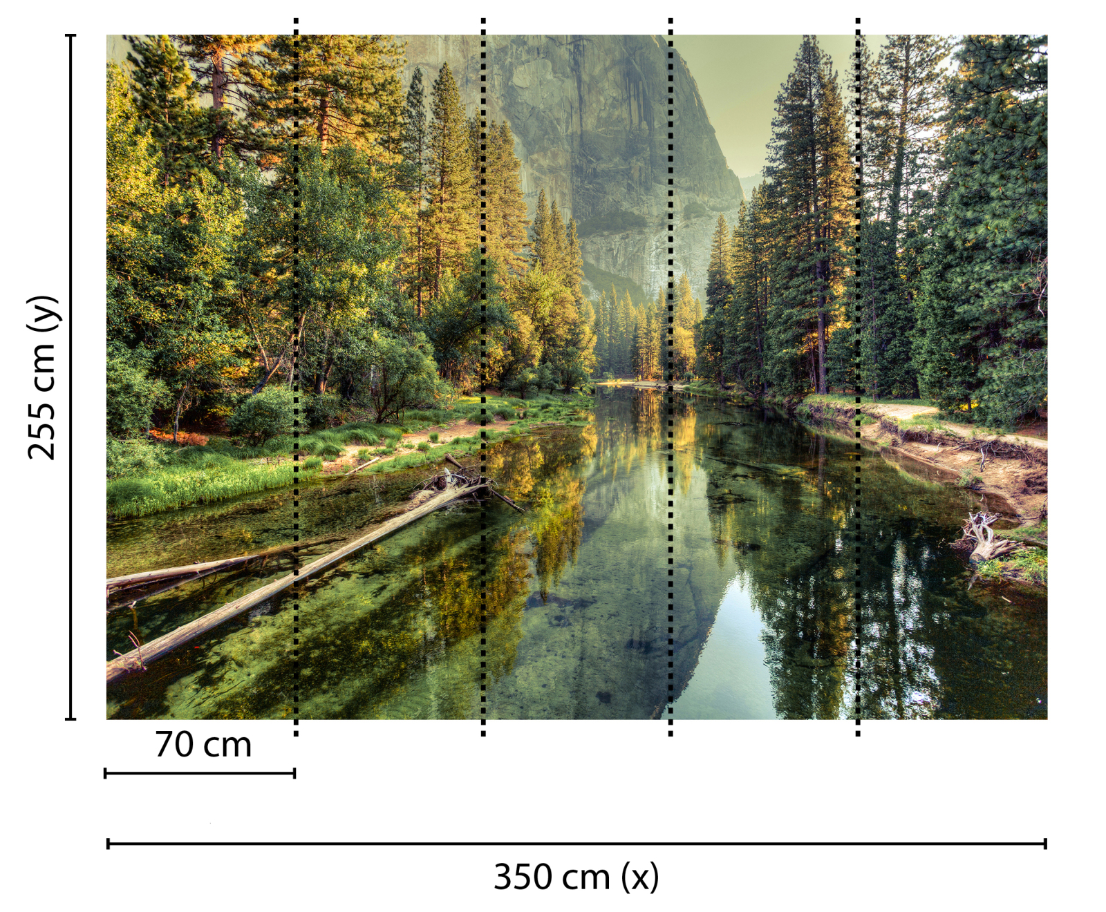 Fototapete DESIGNWALLS - Fluss im Wald - grün-gelb - 2,55 Meter