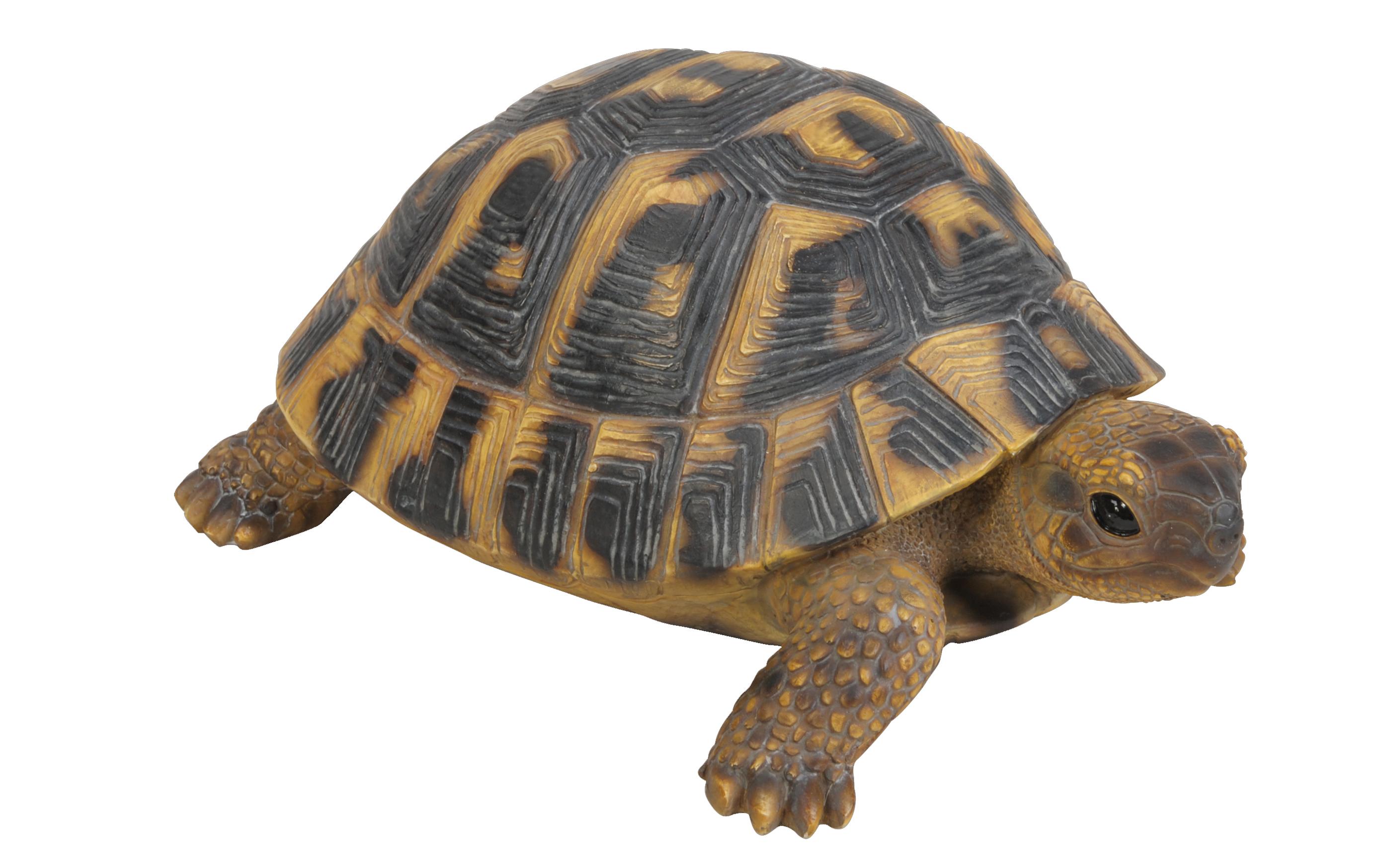 Dekofigur LandschildkröteTiere für den Garten