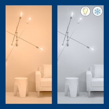 WiZ Connected LED edison E27 60W filament helder koel tot warmwit licht dimbaar