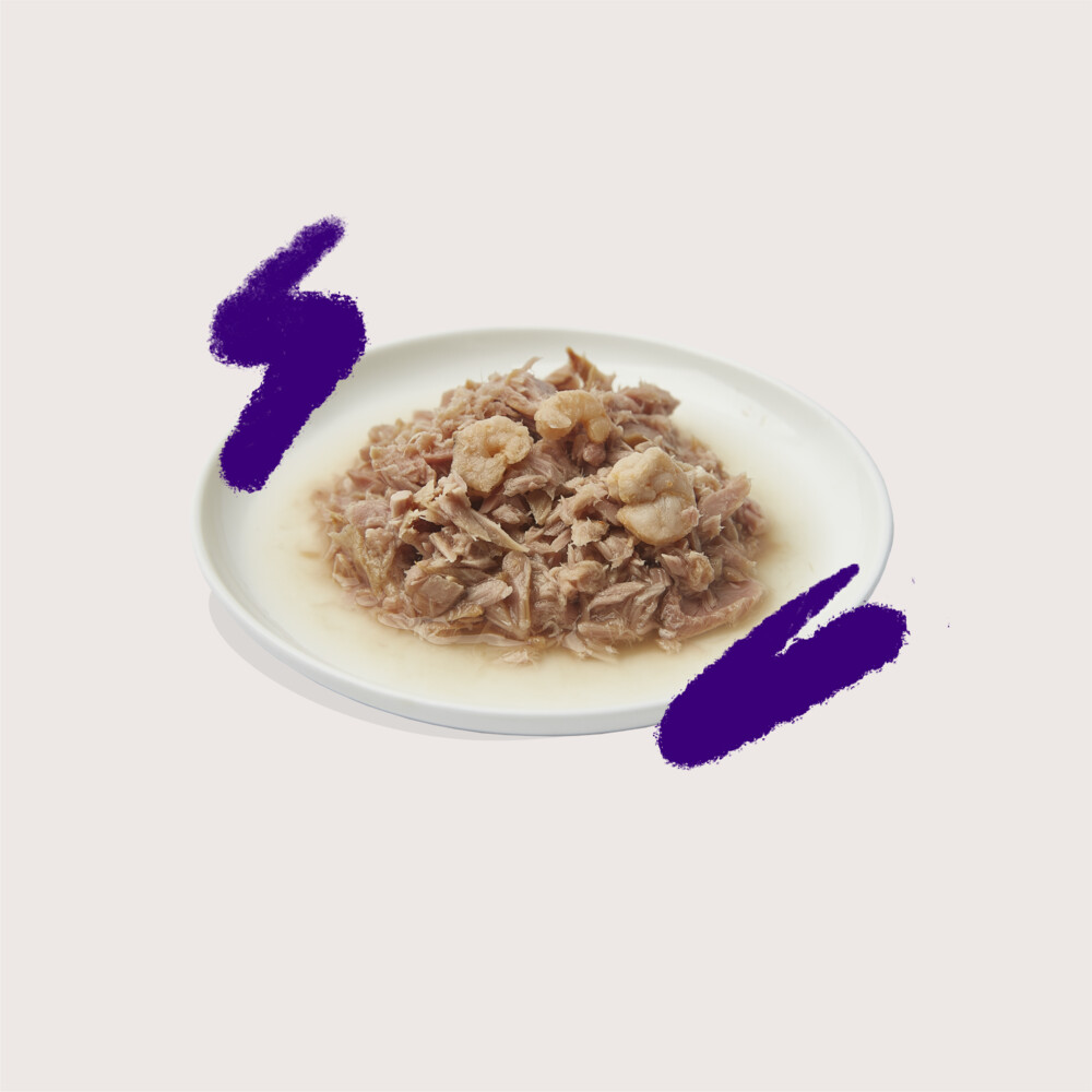 Edgard & Cooper Kattenvoer Fillets Tonijn - Garnaal70 gr