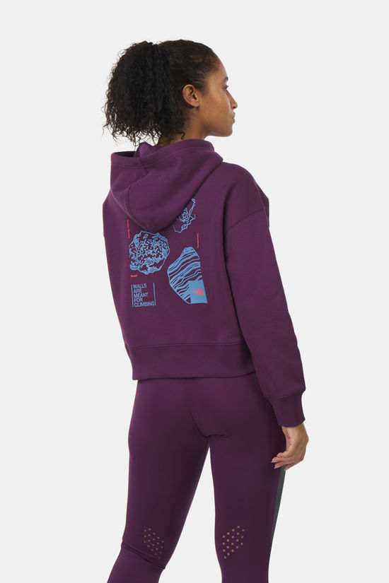 The North Face The North Face Outdoor Graphic Hoodiie Dames
