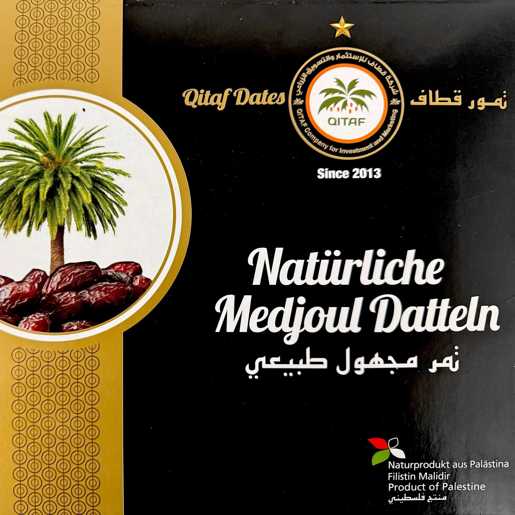 Galilee Medjoul Datteln