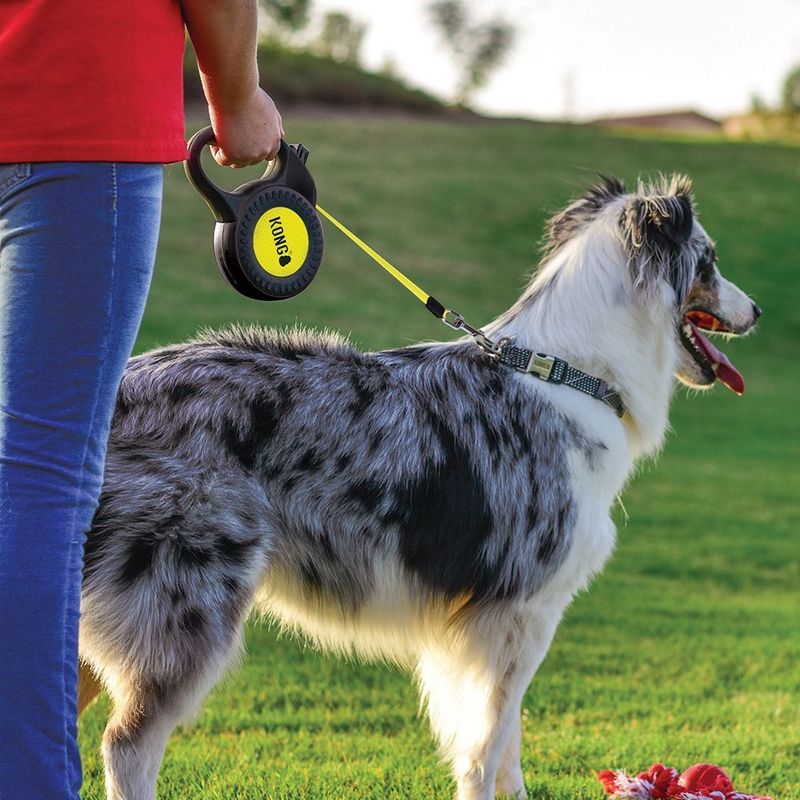 KONG - Reflect Rollijn - Zwart - 5 Meter - Voor Honden Tot 50 kg