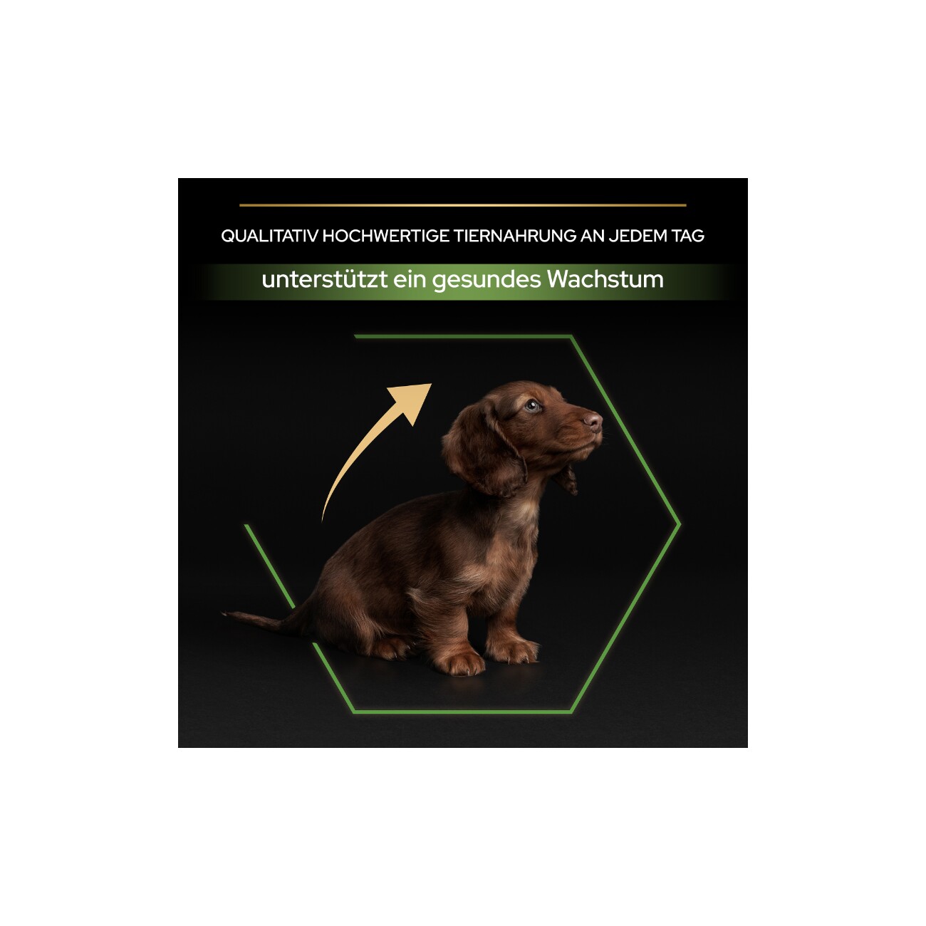 PRO PLAN Puppy Small & Mini Healthy Start Huhn 3kg