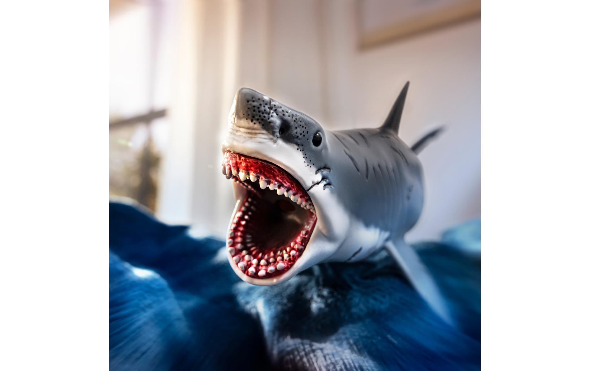 MegalodonDinosaurus