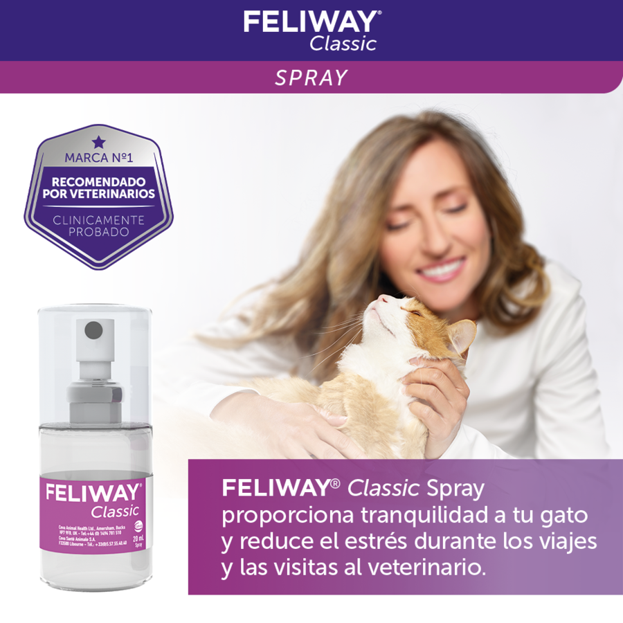 Spray tranquilizante Feliway para gatos