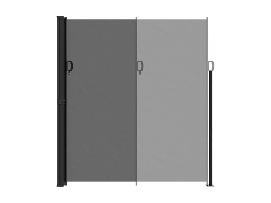 Auvent latéral rétractable noir 220x500 cm
