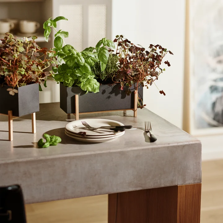 Design House Stockholm - Botanic Box, schwarz / natur