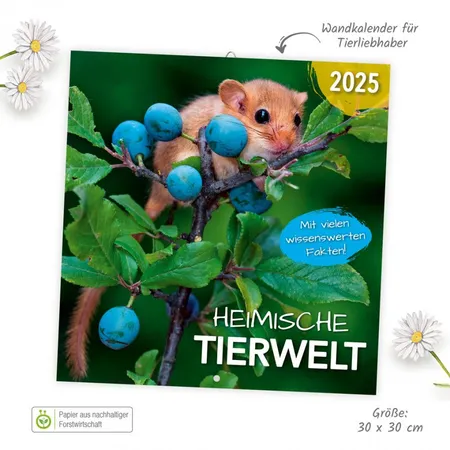 Trötsch Broschürenkalender 