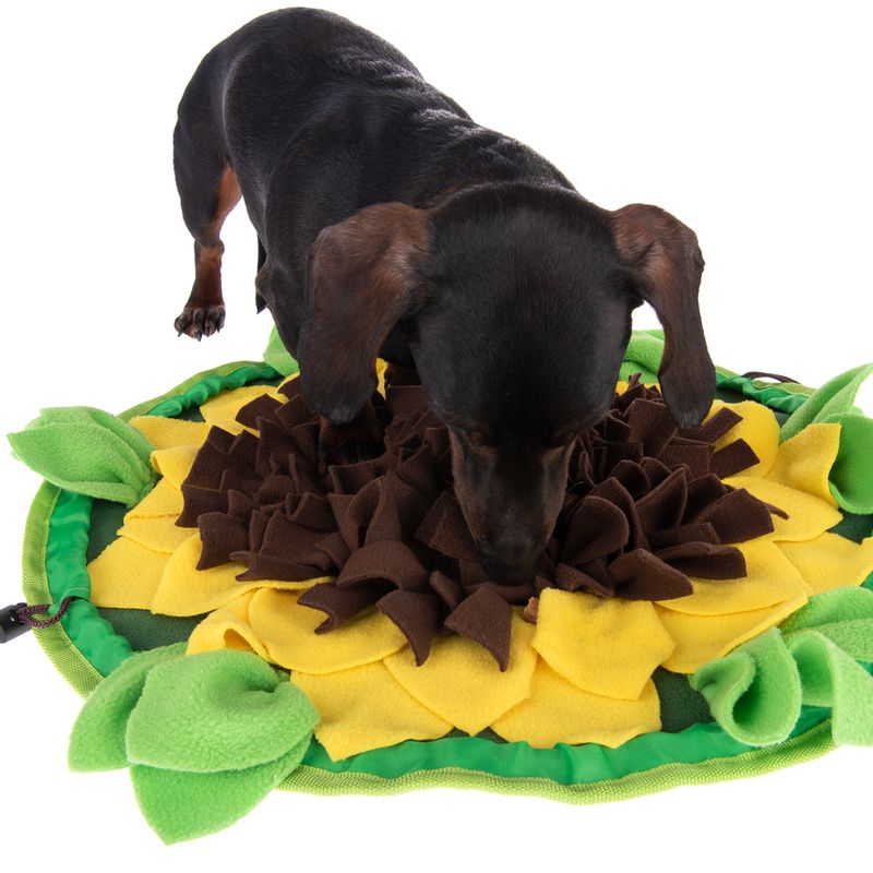 Tapis de fouille Sunnyflower