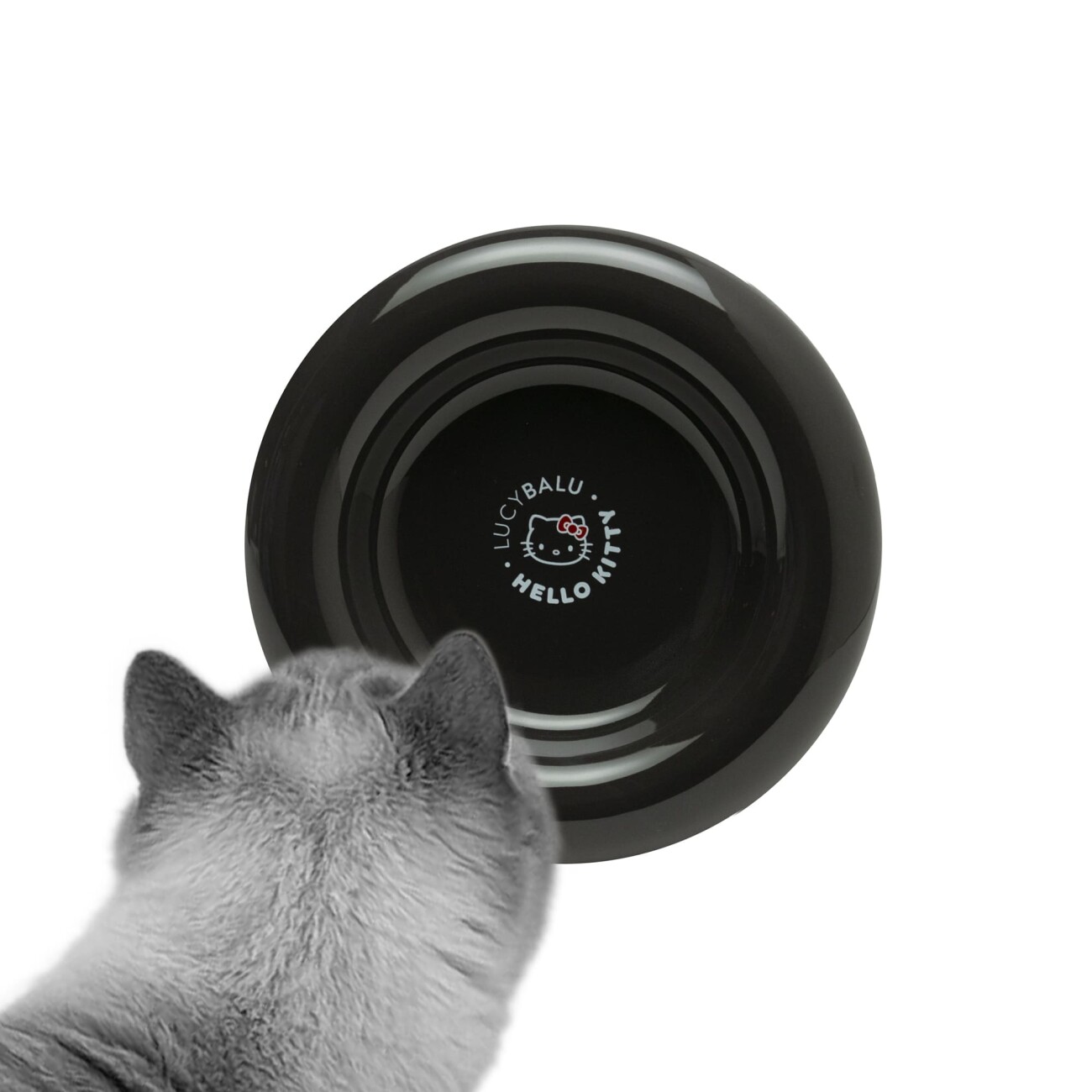 LucyBalu DROP Katzennapf - Hello Kitty Edition schwarz