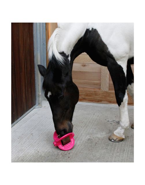 Bizzy Lick Bizzy Bal - Liksteenhouder - Paardenspeelgoed - Roze