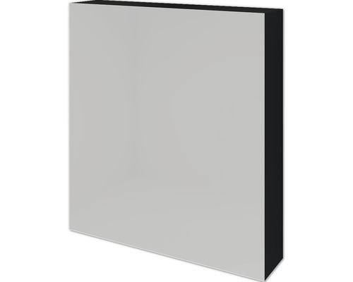 Sanox spiegelkast 60 x 12 x 65 cm, mat zwart, 1-deurs, dubbele spiegel