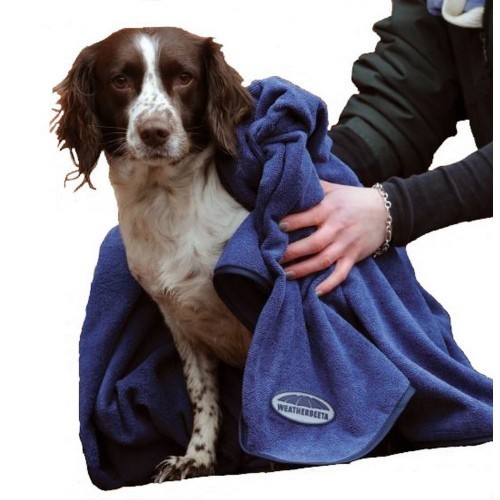 Toalha azul para cachorro
