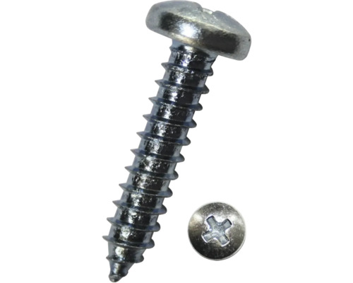 Plaatschroef, bolkop met kruiskop, DIN 7981, 2,9 x 9,5 mm, verzinkt, 100 stuks