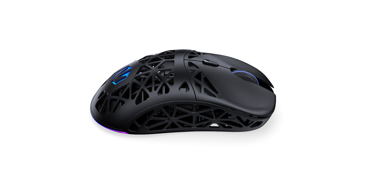 ENDORFYLIV Wireless gaming muis  (Zwart, 12.000 DPI, ARGB, USB-C / 2.4 GHz / Bluetooth)