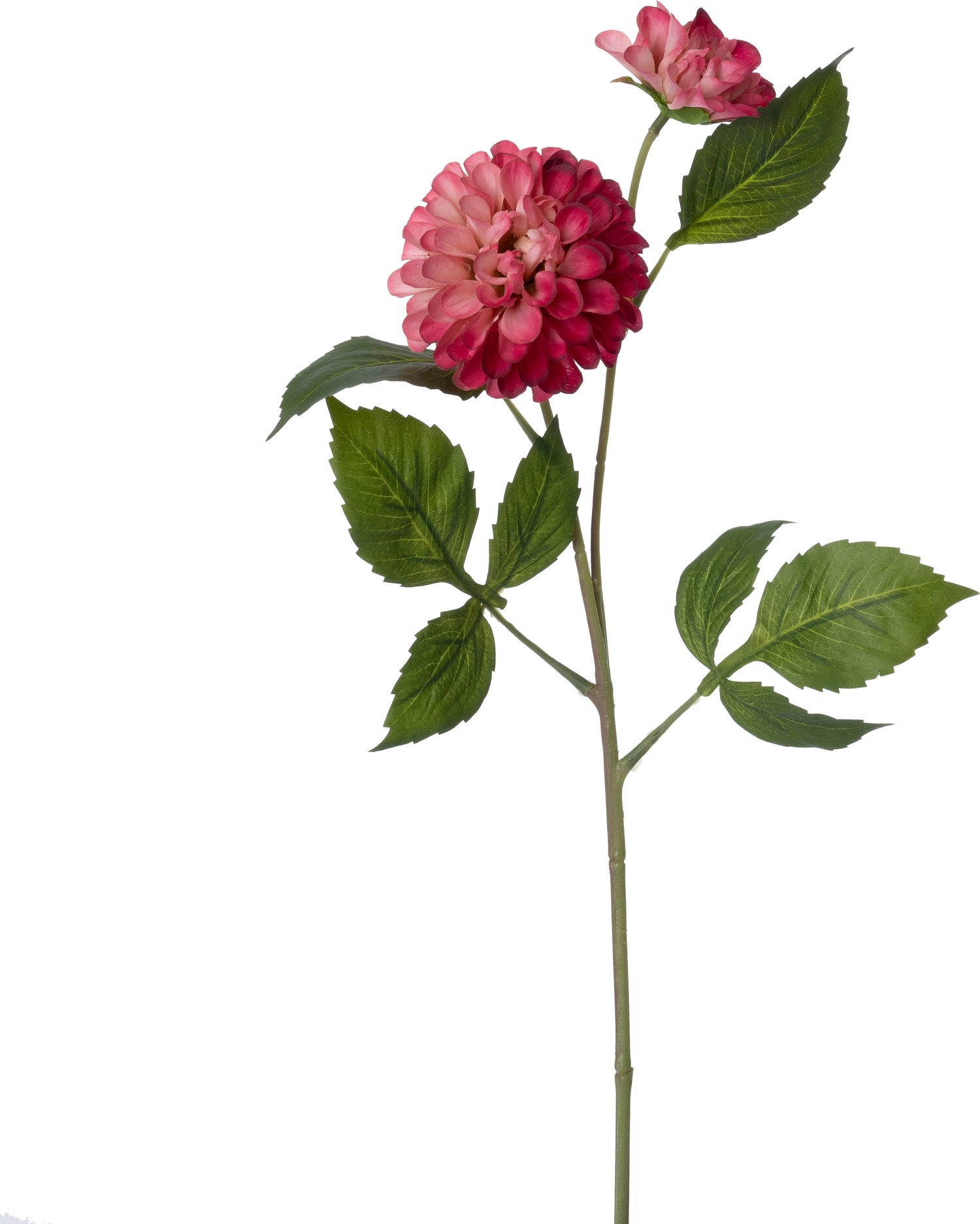 Intratuin kunstbloem Chrysant paars 62 cm