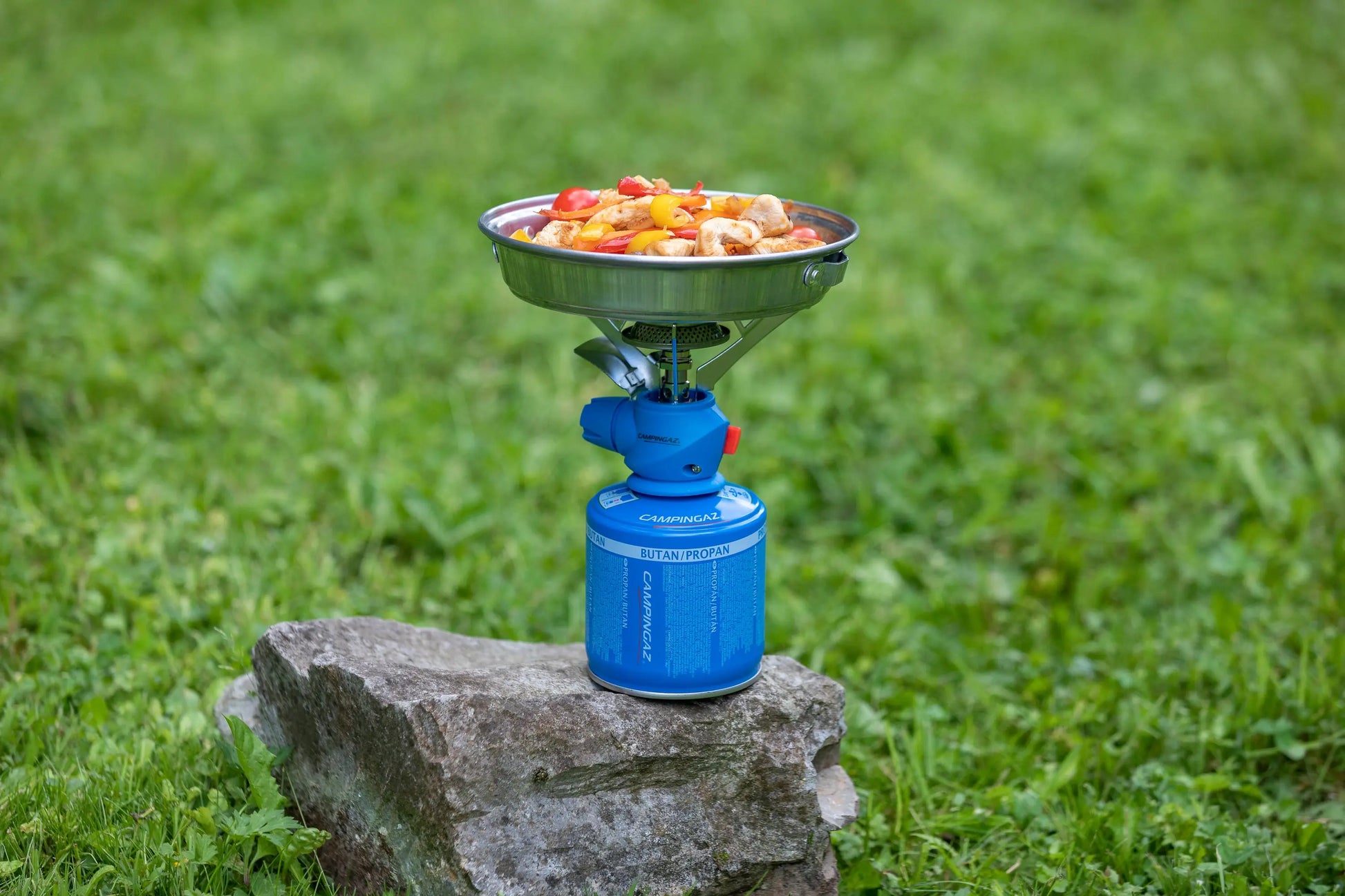 Twister Plus PZ