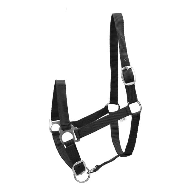 Halfter Barato Basic Zwart