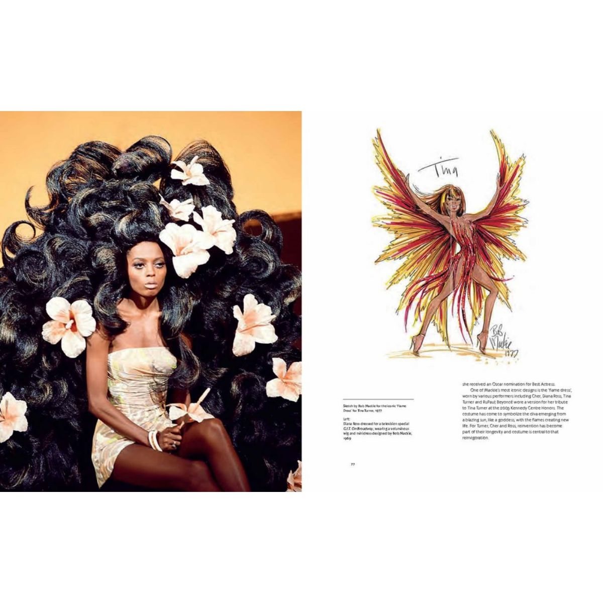 Diva (Hardback)
