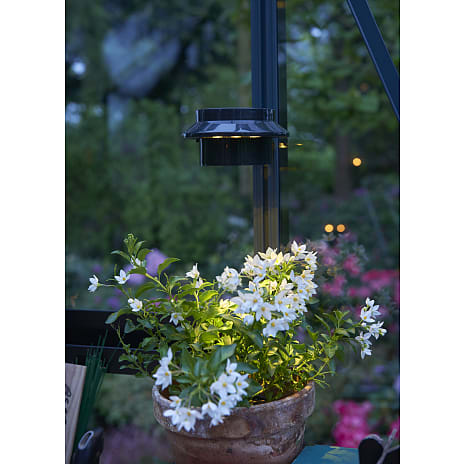 Solar LED lampe - sort