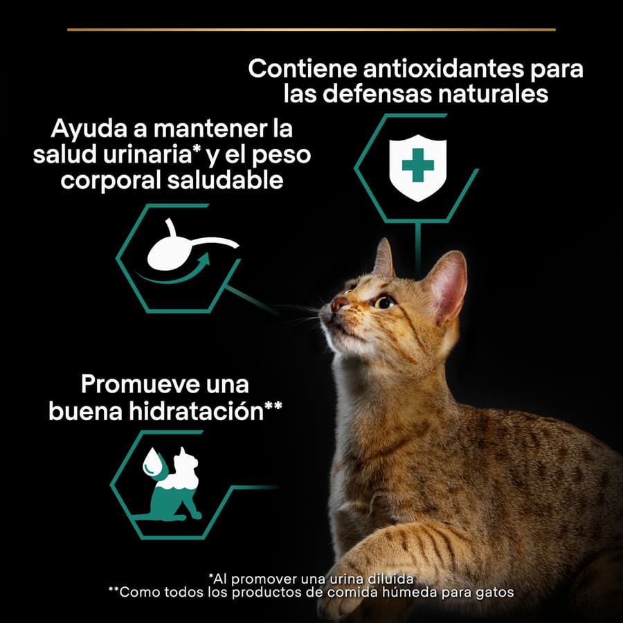 Sachê esterilizado Pro Plan para manutenção com frango ao molho para gatos.