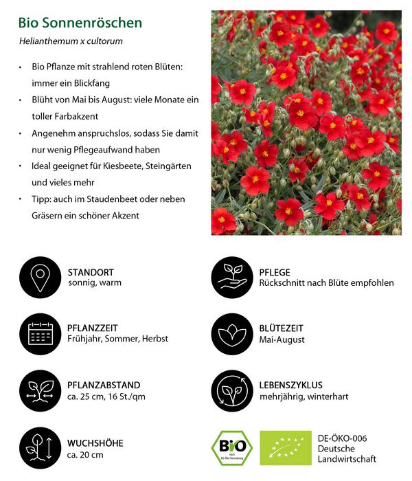 Bio Stauden-Set Blütenkollektion, Landlust