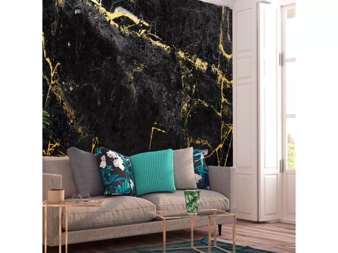 Papier peint Black Elegance - 450 x 315 cm