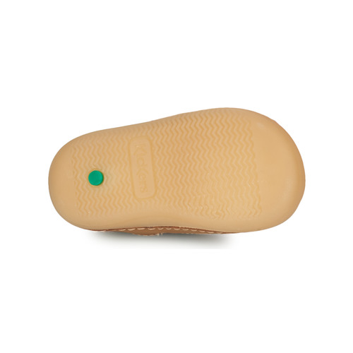 Kickers - SUSHY - Camel